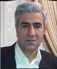 عباس انصاری (عارف)